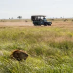 2 Days 1 Night Mikumi National Park Safari (3)